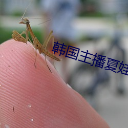 韩国主播夏娃