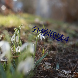 分卷閱讀4