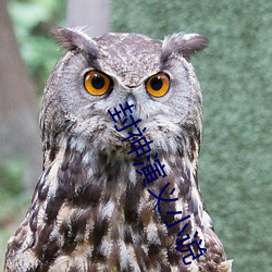 封神演义小说