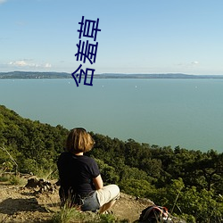 含羞草