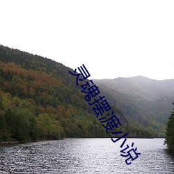 灵魂摆渡小说