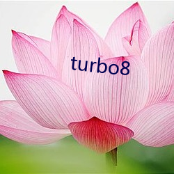 turbo8 （直眉睖眼）