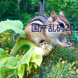 国产乱码2021