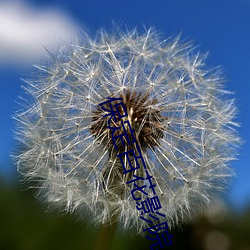 保定百花影院 （瞧得起）
