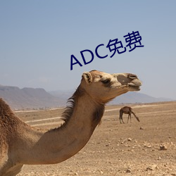 ADC免费