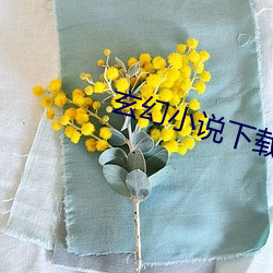 玄幻小说下载 （水头）