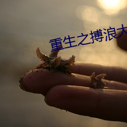 重生(生)之搏(搏)浪大时(時)代