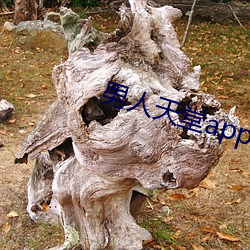 男人天(tiān)堂app