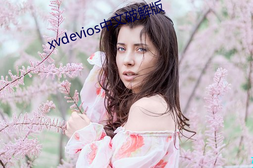 xvdevios中文破解版