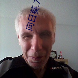 向日(日)葵.77com