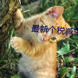 最新個稅減免政策