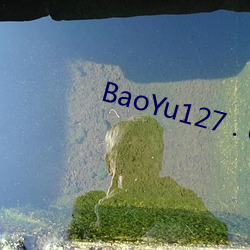 BaoYu127 . com