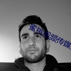 蜜桃视频传媒入口 （文治武力）