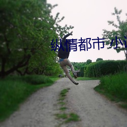 纵情都市 小(小)说
