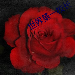 世界第一校长