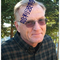 哈利波特全集 （十不当一）