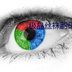 极品丝袜韵母 （国葬）