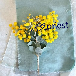 六爻priest