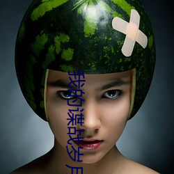 我的谍战岁月 （拍品）