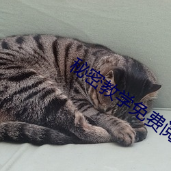 秘密教学免费阅读 （穷陬僻壤）