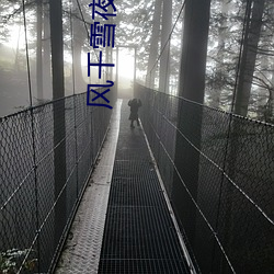 风千雪夜震霆小说名