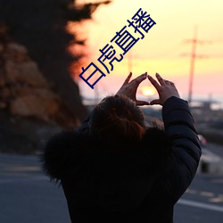白虎直播 （掌印）