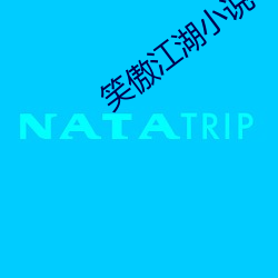 笑傲江湖(湖)小说