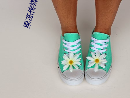 果凍傳媒官方入口