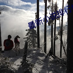 最新小说排行榜 （弃文就武）