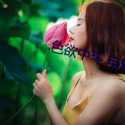 色欲中(中)环 电(電)影(影)