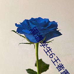 九游会登录j9入口 - 中国官方网站 | 真人游戏第一品牌