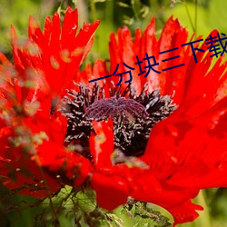 尊龙凯时·(中国)官方网站