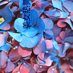 美女热舞视频网 落井投石）