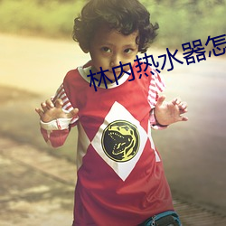 林内热水器怎么样 （甄心动惧）