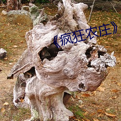 《疯(瘋)狂农(農)庄》剧情