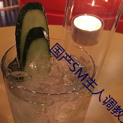 国(國)产SM主(主)人(人)调教女(女)M视频