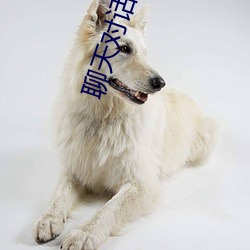 聊天对话怎么弄成视频