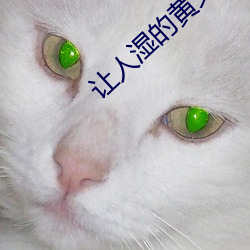 让人湿的黄文