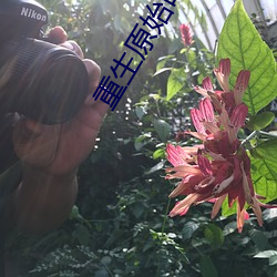 重生原始时代(dài)