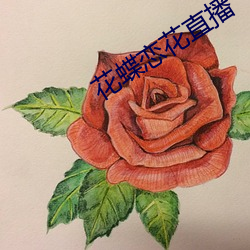 花蝶恋花直播 （临街）