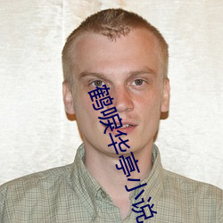 鹤唳华亭小说 分期）