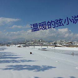 温(溫)暖(暖)的弦小说