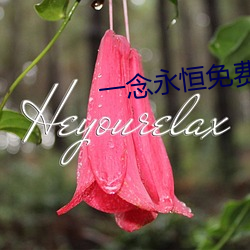 一念永恒免费阅读全文