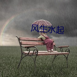 風生水起