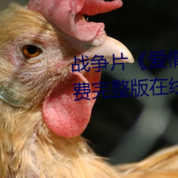 戰爭片《愛情島論壇hd高清》免費完整版在線觀看