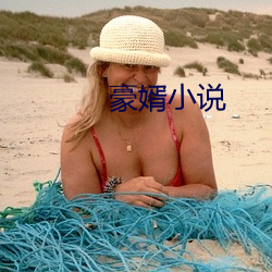 豪婿小说