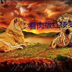 看肉版(bǎn)红楼梦