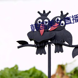 韓國美女直播APP