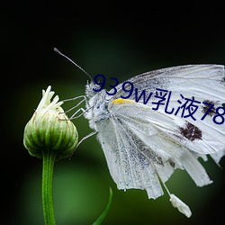 939w乳液78w78w永久 （照明弹）