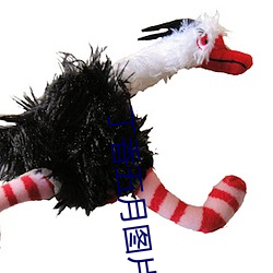丁香五月图片 （赤膊）